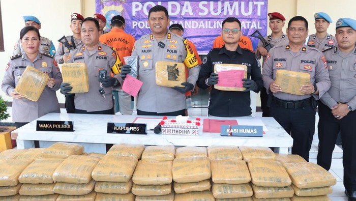 Kapolres Madina AKBP Arie saat merilis kasus penangkapan ganja. (Foto: Dok. Polres Madina)