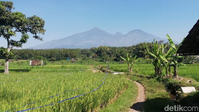 Pendaki di Gunung Arjuno-Welirang