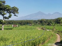 Gunung Arjuno-Welirang Ditutup Total, Ada 3 Titik Api yang Terdeteksi