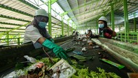 Pekerja memilah sampah yang masih memiliki nilai ekonomi di Tempat Pembuangan Sampah Terpadu Reduce Reuse Recycle (TPS 3R) Balak, Banyuwangi, Jawa Timur, Kamis (27/6/2024).