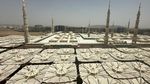 Potret Kemegahan Masjid Nabawi di Madinah