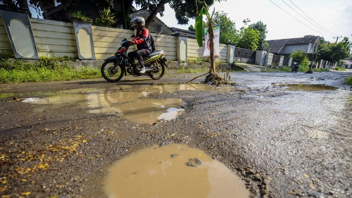 Protes Jalan Rusak Warga Pandeglang Tanam Pohon Pisang