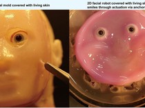 Potret Robot Buatan Ilmuwan Jepang yang Pakai Kulit Hidup di Wajahnya