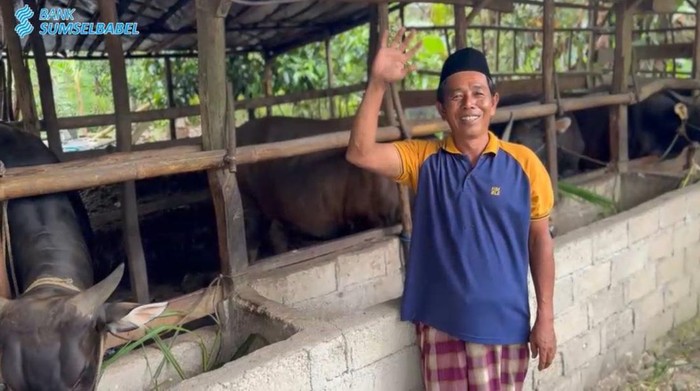 Salah satu peternak sapi di Bangka Belitung rasakan manfaat KUR.