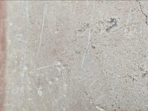 Beraninya Turis Coret Reruntuhan Pompeii, Ditangkap dan Didenda