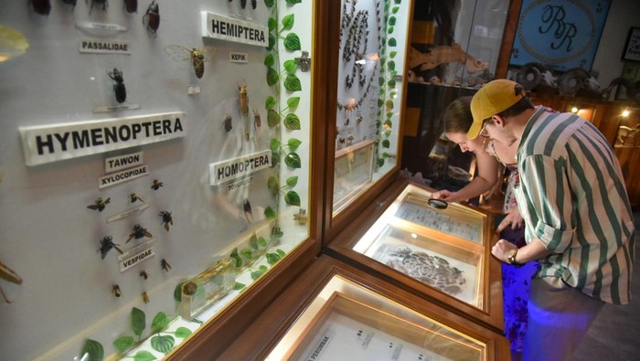 Wisatawan mancanegara mengamati koleksi serangga yang diawetkan di Rahmat International Wildlife Museum dan Galeri di Medan, Sumatera Utara, Sabtu (29/6/2024).  Museum yang memiliki 2.600 spesies dan 5.000 spesimen hewan dan satwa yang diawetkan tersebut menjadi salah satu obyek wisata favorit di Medan serta menjadi sarana pembelajaran bagi anak sekolah. ANTARA FOTO/Fransisco Carolio/rwa.