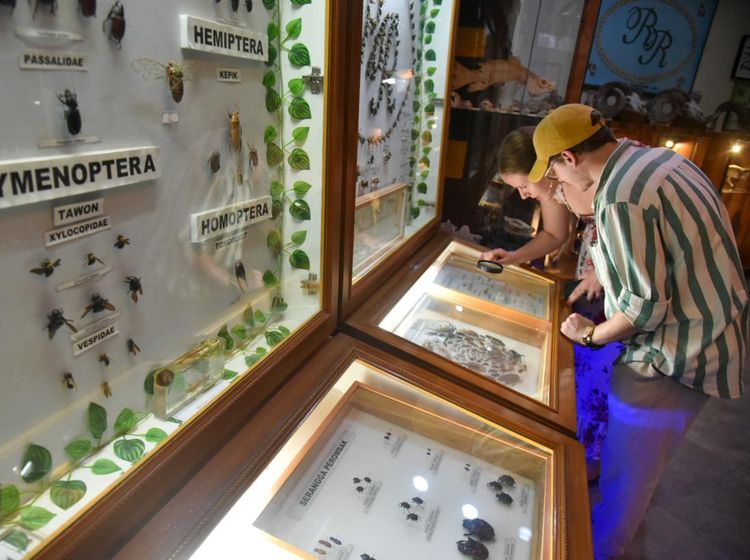 Bermain Sambil Belajar di Museum Satwa Medan