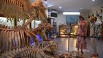 Bermain Sambil Belajar di Museum Satwa Medan