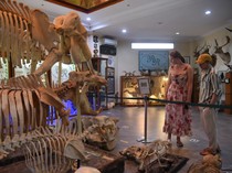 3 Rekomendasi Wisata di Medan untuk Hari Minggu Bersama Keluarga