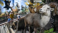 Musuem ini bisa menjadi pilihan mengisi liburan sekolah dan menjadi sarana pembelajaran bagi anak-anak. 