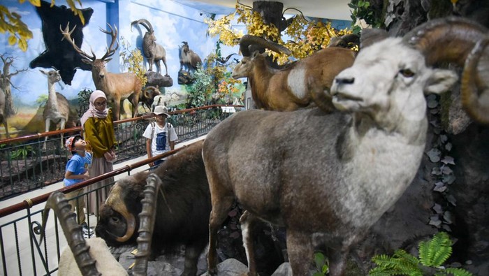Wisatawan mancanegara mengamati koleksi serangga yang diawetkan di Rahmat International Wildlife Museum dan Galeri di Medan, Sumatera Utara, Sabtu (29/6/2024).  Museum yang memiliki 2.600 spesies dan 5.000 spesimen hewan dan satwa yang diawetkan tersebut menjadi salah satu obyek wisata favorit di Medan serta menjadi sarana pembelajaran bagi anak sekolah. ANTARA FOTO/Fransisco Carolio/rwa.