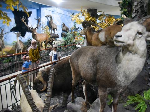 Wisatawan mancanegara mengamati koleksi serangga yang diawetkan di Rahmat International Wildlife Museum dan Galeri di Medan, Sumatera Utara, Sabtu (29/6/2024).  Museum yang memiliki 2.600 spesies dan 5.000 spesimen hewan dan satwa yang diawetkan tersebut menjadi salah satu obyek wisata favorit di Medan serta menjadi sarana pembelajaran bagi anak sekolah. ANTARA FOTO/Fransisco Carolio/rwa.