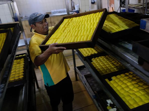 Cuan Musim Liburan, Produksi Tahu Susu Lembang Meningkat