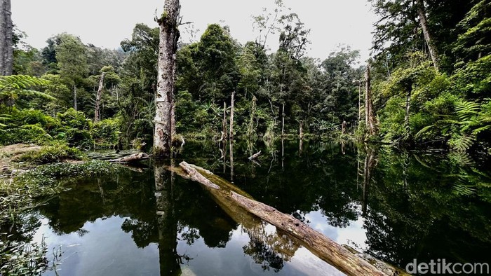 Danau Urugan