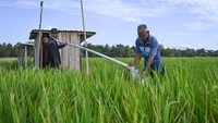 Saat ini PLTS tersebut menjadi sumber tenaga pompa kebutuhan air irigasi untuk delapan hektar sawah setempat.
