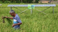 Dua set PLTS yang masing-masing berdaya 1.200 watt peak (WP) tersebut merupakan hasil kerja sama Pertamina dengan Politeknik Negeri Kupang melalui program Desa Energi Berdikari Sobat Bumi. 
