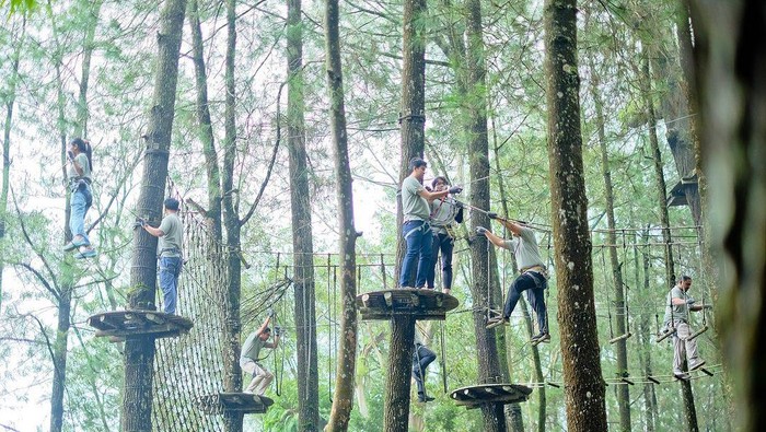 Kopeng Treetop Adventure Park Semarang.