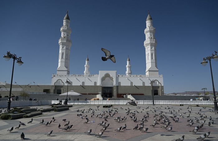 Burung merpati terbang berlatar belakang Masjid Quba di Madinah, Arab Saudi, Jumat (28/6/2024). Masjid Quba merupakan masjid pertama yang dibangun Rasulullah SAW pada 622 masehi saat Nabi melaukan hijrah dari Makkah ke Madinah. ANTARA FOTO/Sigid Kurniawan/Spt..