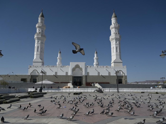 Burung merpati terbang berlatar belakang Masjid Quba di Madinah, Arab Saudi, Jumat (28/6/2024). ANTARA FOTO/Sigid Kurniawan/Spt..
