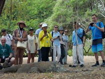 Rencana Penutupan Taman Nasional Komodo-Montir Sodomi 10 Bocah di Lombok