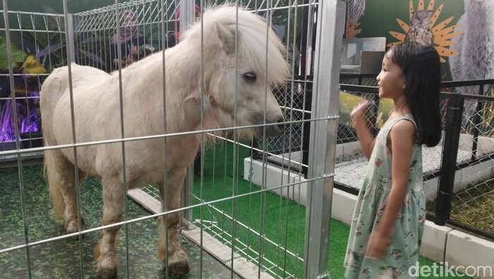 Pengunjung melihat koleksi hewan di kebun binatang mini di mal Medan