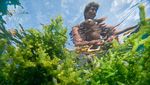 Potret Budidaya Rumput Laut di Karimunjawa