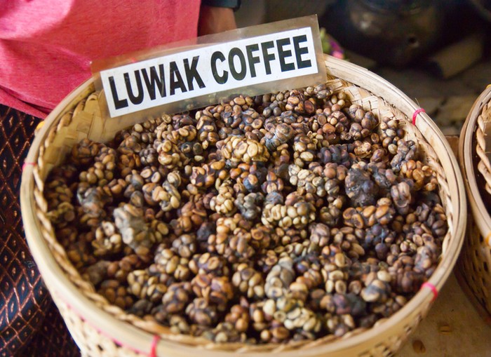 Kopi