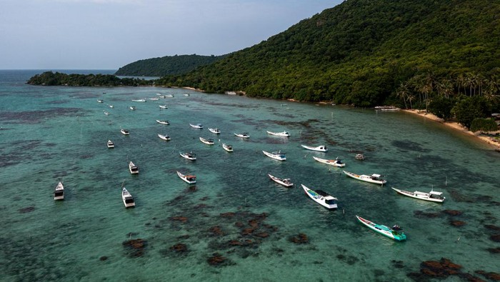 Sejumlah perahu motor milik nelayan cumi-cumi tertambat di di zona perairan tepi Pantai Legon Cikmas, Taman Nasional Karimunjawa (TNKJ), Kabupaten Jepara, Jawa Tengah, Minggu (30/6/2024). Menurut nelayan setempat dalam tiga minggu terakhir tangkapan cumi-cumi mereka menurun hingga kosong karena terdampak dari siklus tahunan musim angin timuran dengan kondisi ombak tinggi dan angin kencang di perairan setempat, sehingga sebagian besar mereka memilih meliburkan diri dan beralih ke sektor pariwisata dan budidaya rumput laut yang mulai dibudidayakan kembali pascapenutupan tambak udang ilegal. ANTARA FOTO/Aji Styawan/foc.