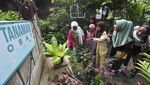 Melihat Cara Belajar Pendidikan Sekolah Alam di Muaro Jambi
