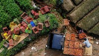 Foto udara sejumlah petani memanen wortel di Bumiaji, Batu, Jawa Timur, Minggu (30/6/2024).