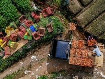 Waduh! Produksi Tanaman Sayuran Nasional Turun