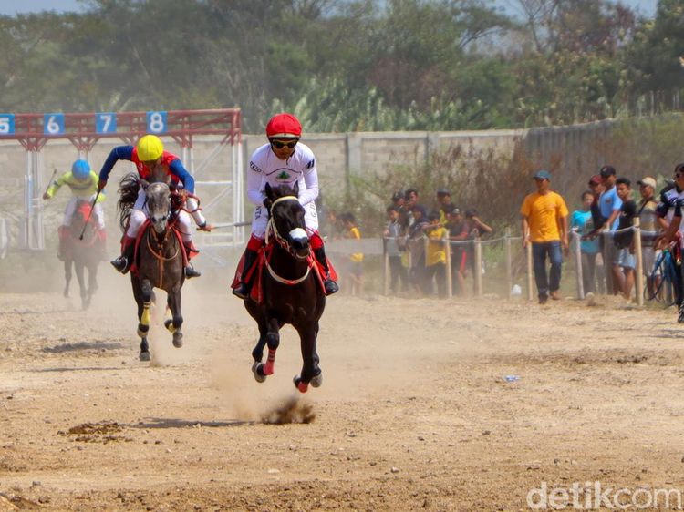 Serunya Lomba Balap Kuda Grebeg Suro 2024 di Ponorogo