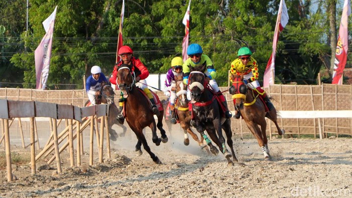 Serunya Lomba Balap Kuda di Ponorogo Serunya Lomba Balap Kuda di Ponorogo