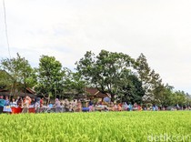 Pasar Aby Cinta, Lokasi Kulineran di Pinggir Sawah Lombok Tengah
