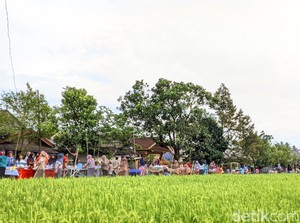 Pasar Aby Cinta, Lokasi Kulineran di Pinggir Sawah Lombok Tengah
