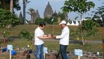 Tanam Pohon Pewarna Alami di Kawasan Candi