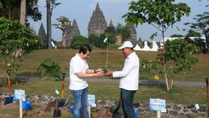 Tanam Pohon Pewarna Alami di Kawasan Candi