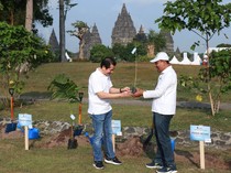 Tanam Pohon Pewarna Alami di Kawasan Candi