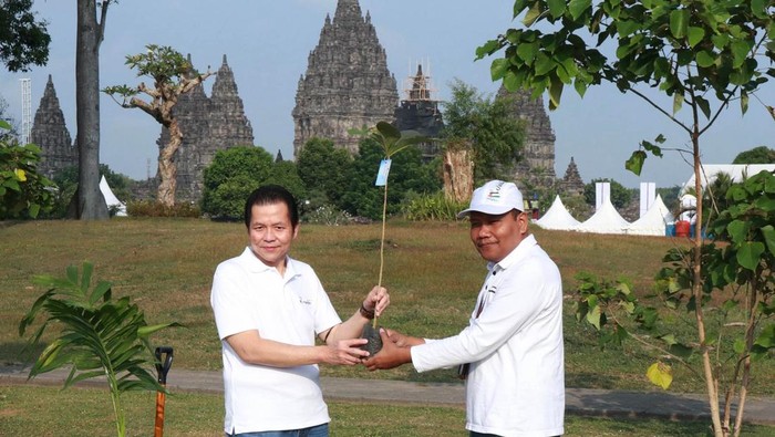 Tanam Pohon Pewarna Alami di Kawasan Candi Sebanyak 200 bibit pohon pewarna alami ditanam di sekitar kawasan Candi Prambanan, Sleman, Yogyakarta. Hal itu dilakukan guna memitigasi dampak perubahan iklim dan meraih netral emisi karbon di tahun 2060.