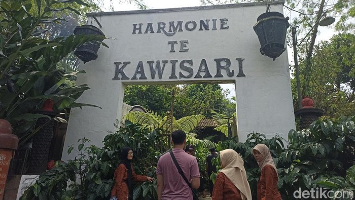 Wisata memetik kopi di Perkebunan Kawisari Blitar