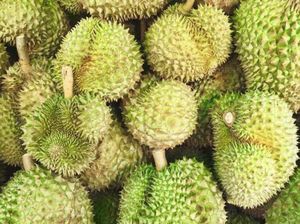 Saking Enaknya, Mau Makan Durian Ini Waiting List-nya Satu Tahun