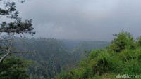 Tidak hanya itu, kunjungan ke Ekowisata Kali Talang juga memberikan kesempatan untuk berinteraksi dengan warga setempat yang ramah. Dengan biaya masuk yang terjangkau sebesar Rp 5.000 per orang serta tersedianya area parkir yang aman, pengunjung dapat dengan nyaman menikmati berbagai fasilitas yang disediakan.