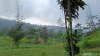 Salah satu daya tarik utama Ekowisata Kali Talang adalah jalur hiking yang mudah. Dari jalur hiking ini, pengunjung dapat dengan jelas melihat Gunung Merapi yang gagah serta menikmati panorama padang rumput yang terhampar luas. Bagi penggemar camping, Ekowisata Kali Talang menyediakan berbagai paket camping mulai dari tenda standar hingga tenda glamping, dilengkapi dengan perlengkapan seperti cooking set dan lampu tenda.