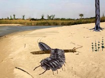 Hewan Kaki Seribu Ternyata Bisa Seukuran Mobil, Apakah Masih Ada yang Hidup?