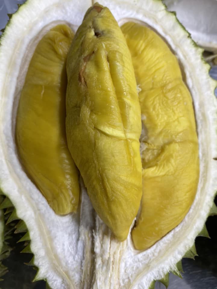 Keren! Toko Durian Ini Bagikan Durian Gratis Senilai Rp 181 Juta