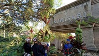 Manten kopi dengan kembar mayang dibawa menuju gerbang/pintu masuk perkebunan Kawisari. Saat itulah, kembar mayang ditukarkan.