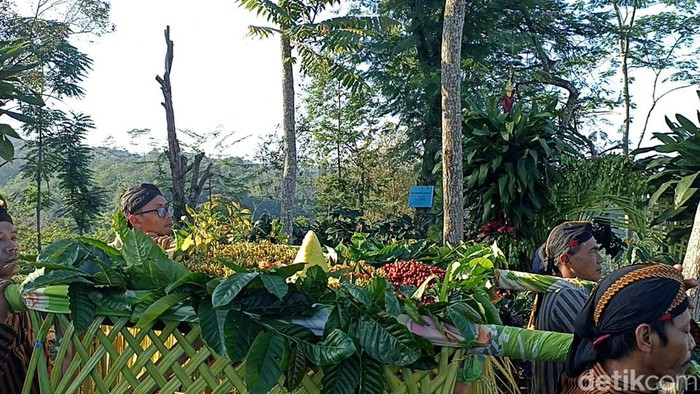 Melihat tradisi manten kopi di Blitar Melihat tradisi manten kopi di Blitar