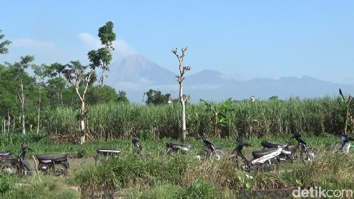Penampakan Gunung Semeru usai erupsi pagi ini