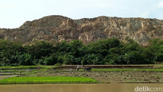 Kondisi terkini Gunung Gedang yang masuk dalam formasi Kompleks Perbukitan Intrusi Godean, Senin (1/7/2024).