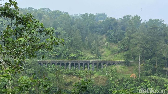 Tankaman Natural Park menawarkan berbagai aktivitas seru yang memanfaatkan keindahan alam sekitar. Mulai dari makan with view hingga jalur pendakian selama 4 jam.